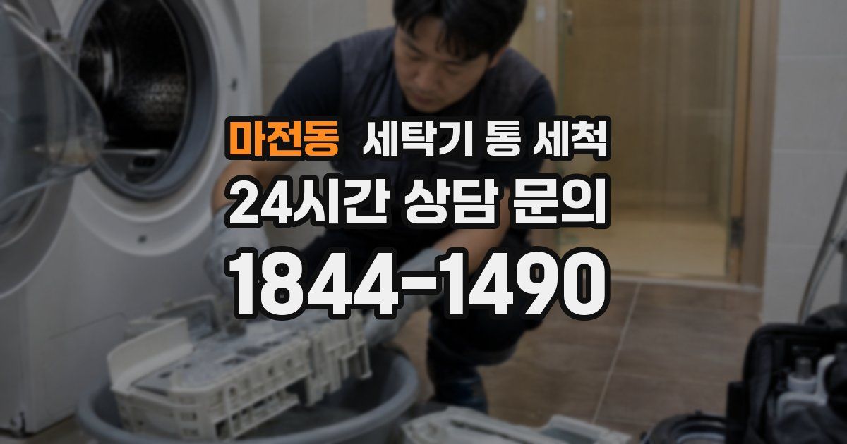 마전동 세탁기 통 세척