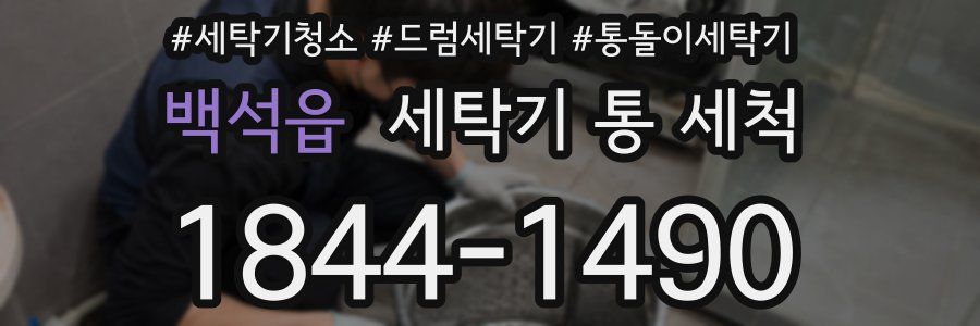 백석읍 세탁기 통 세척