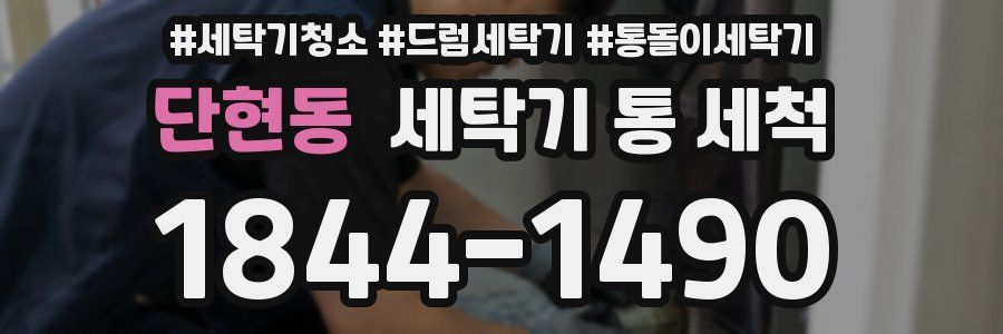 단현동 세탁기 통 세척