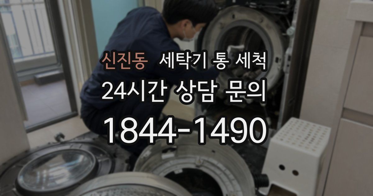 신진동 세탁기 통 세척