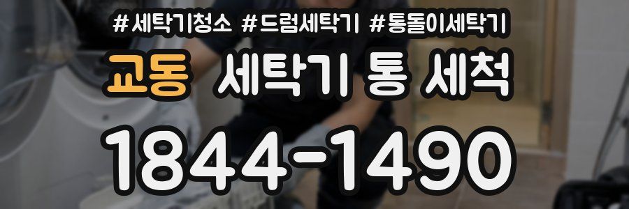 교동 세탁기 통 세척