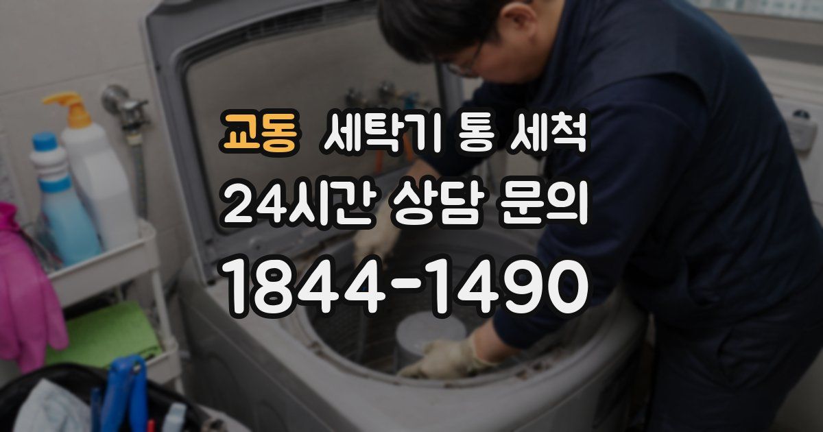 교동 세탁기 통 세척