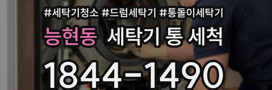 능현동 세탁기 통 세척