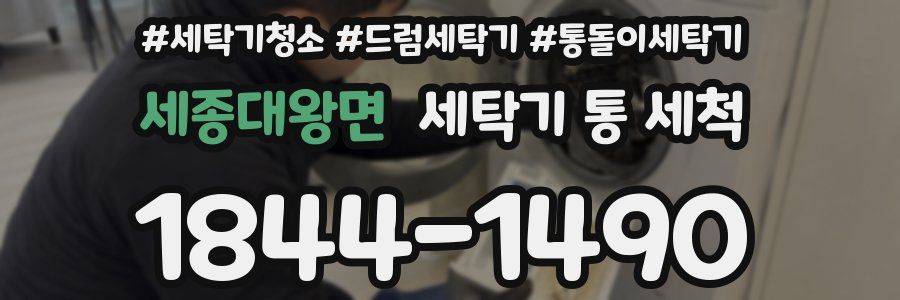 세종대왕면 세탁기 통 세척