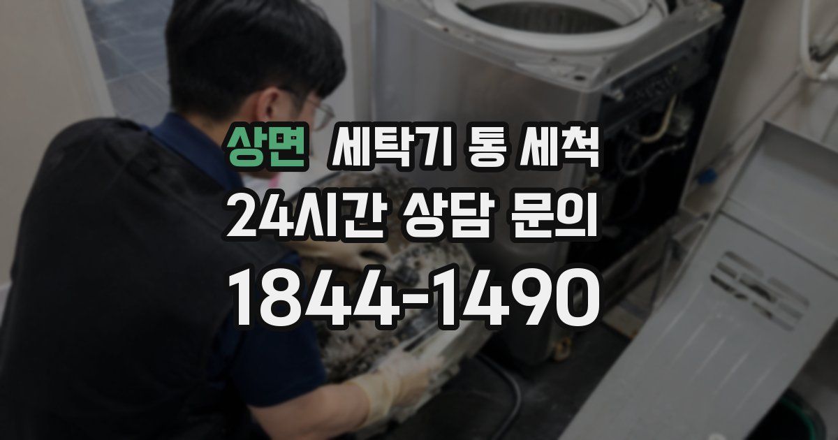 상면 세탁기 통 세척
