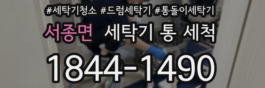 서종면 세탁기 통 세척
