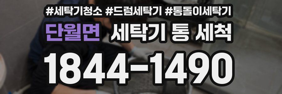 단월면 세탁기 통 세척