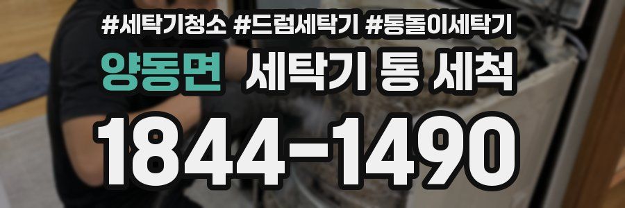 양동면 세탁기 통 세척