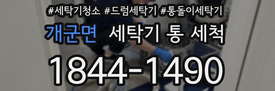 개군면 세탁기 통 세척