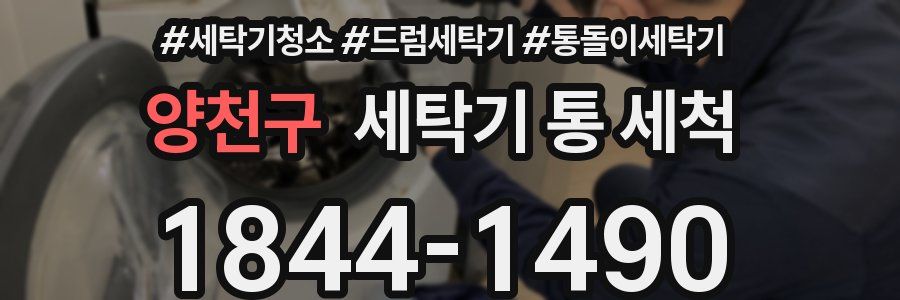 양천구 세탁기 통 세척