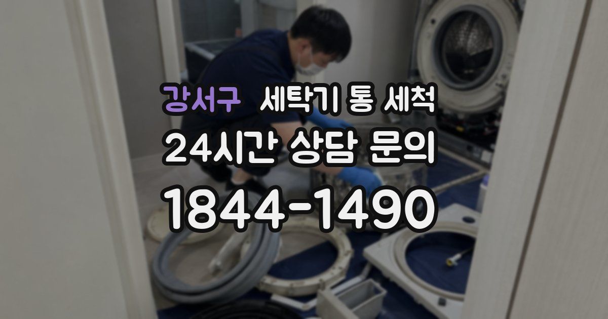강서구 세탁기 통 세척