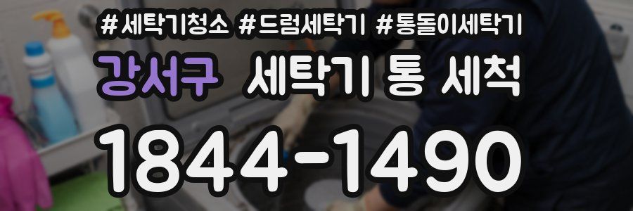강서구 세탁기 통 세척