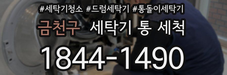 금천구 세탁기 통 세척