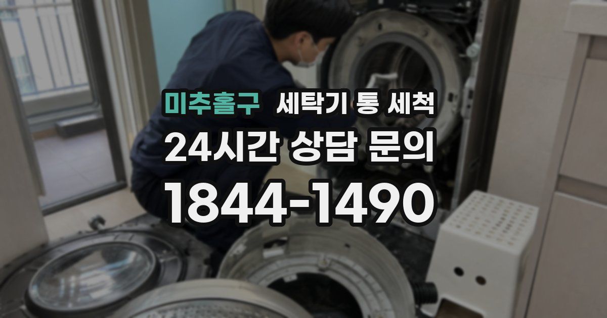 미추홀구 세탁기 통 세척