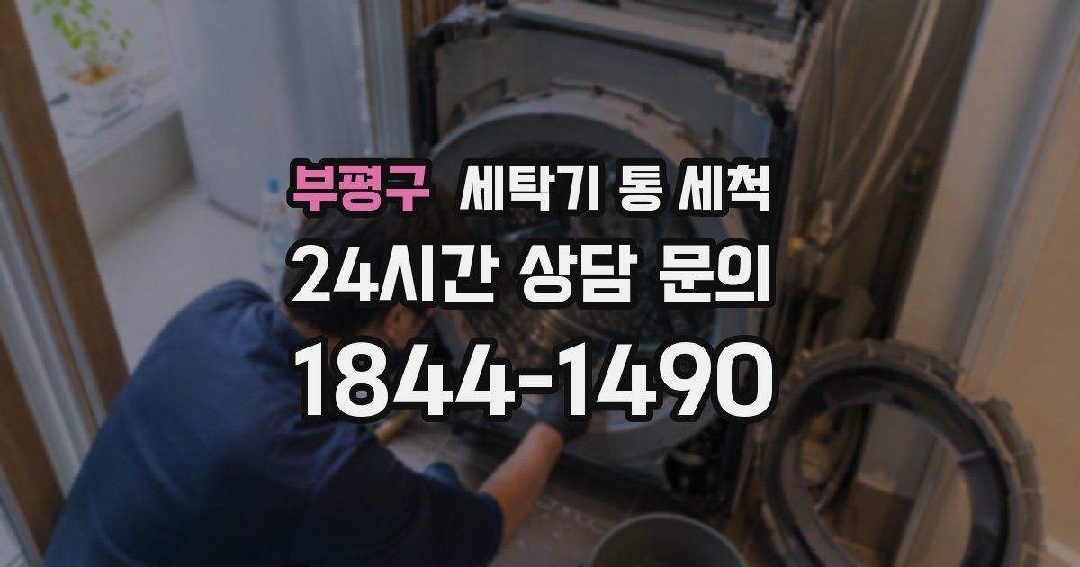 부평구 세탁기 통 세척