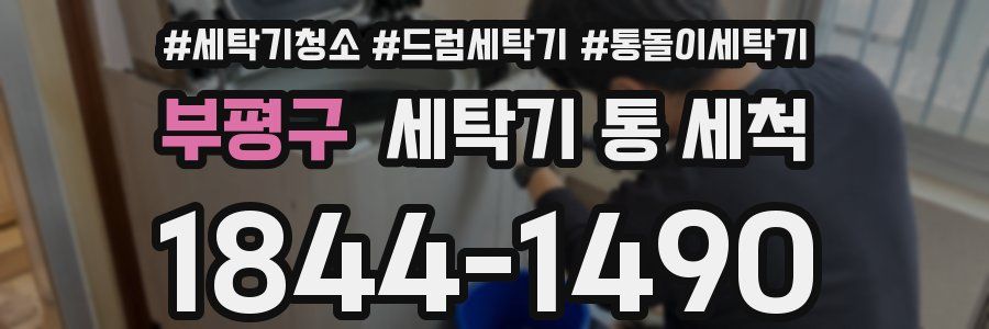 부평구 세탁기 통 세척