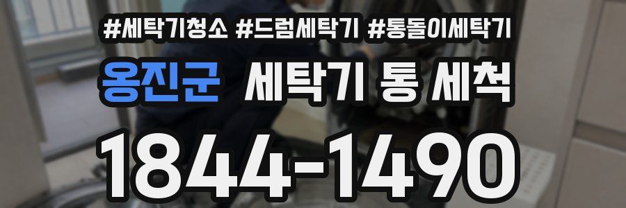 옹진군 세탁기 통 세척