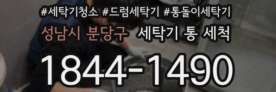 성남시 분당구 세탁기 통 세척