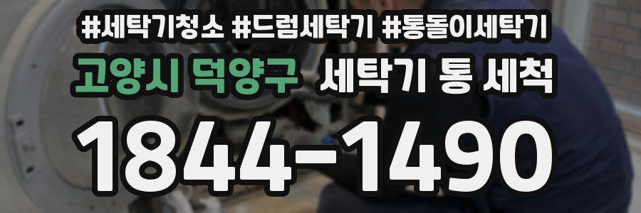 고양시 덕양구 세탁기 통 세척
