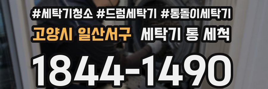 고양시 일산서구 세탁기 통 세척