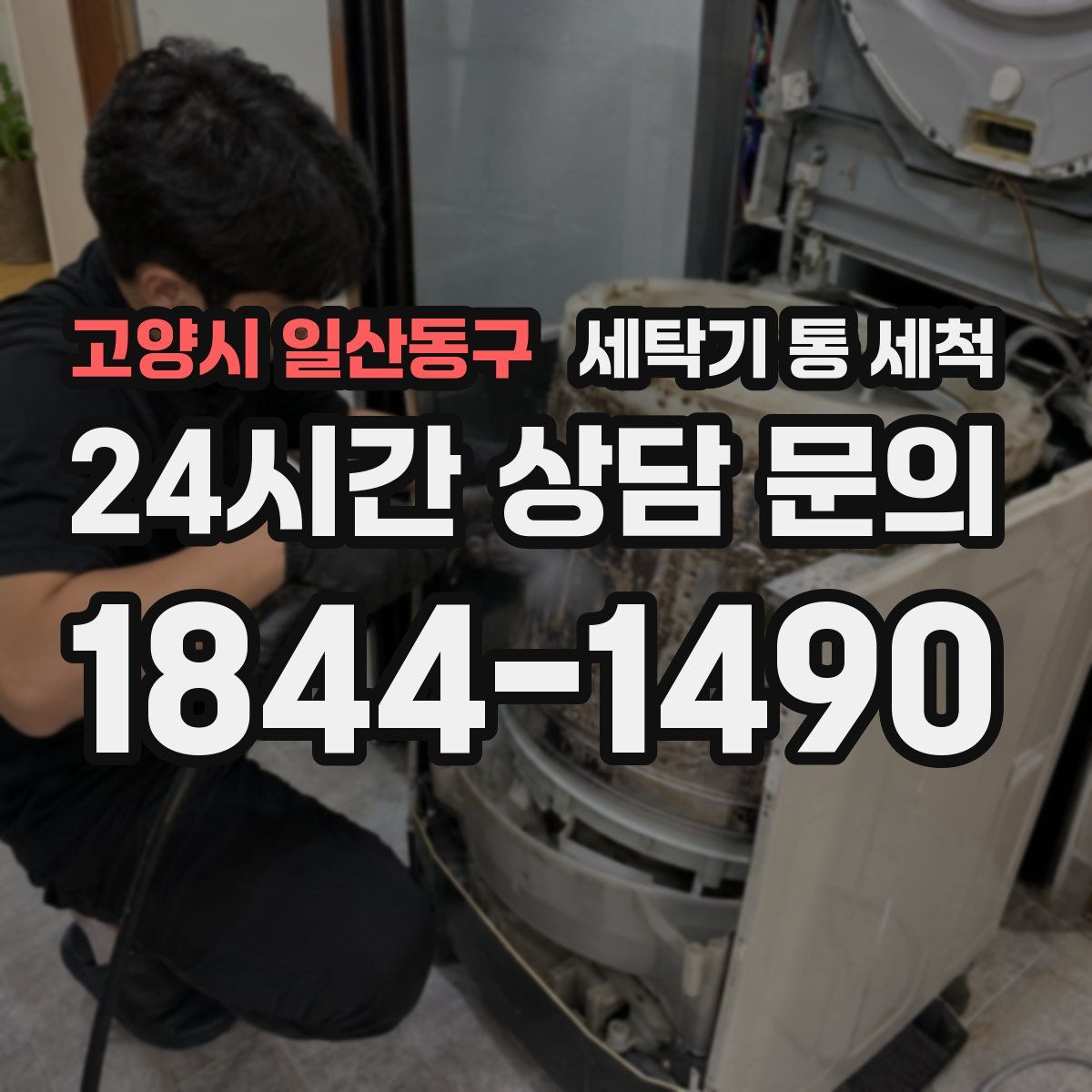 고양시 일산동구 세탁기 통 세척