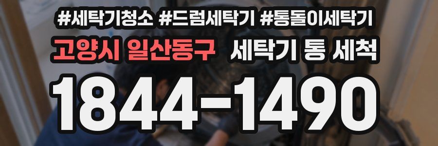 고양시 일산동구 세탁기 통 세척