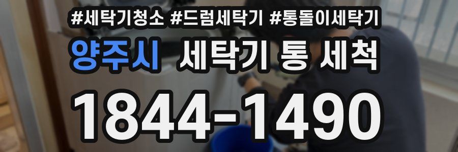 양주시 세탁기 통 세척