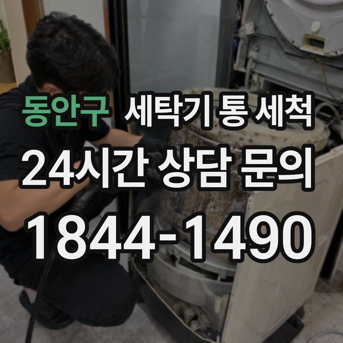 동안구 세탁기 통 세척