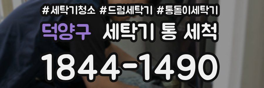 덕양구 세탁기 통 세척