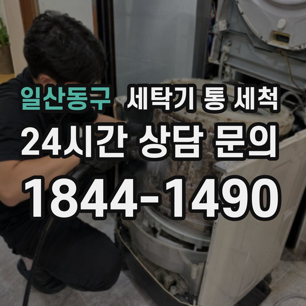일산동구 세탁기 통 세척