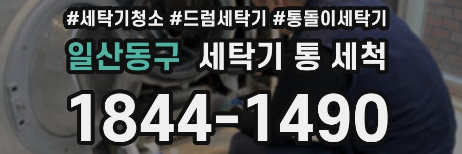 일산동구 세탁기 통 세척