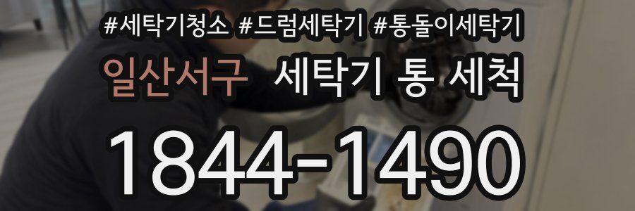 일산서구 세탁기 통 세척