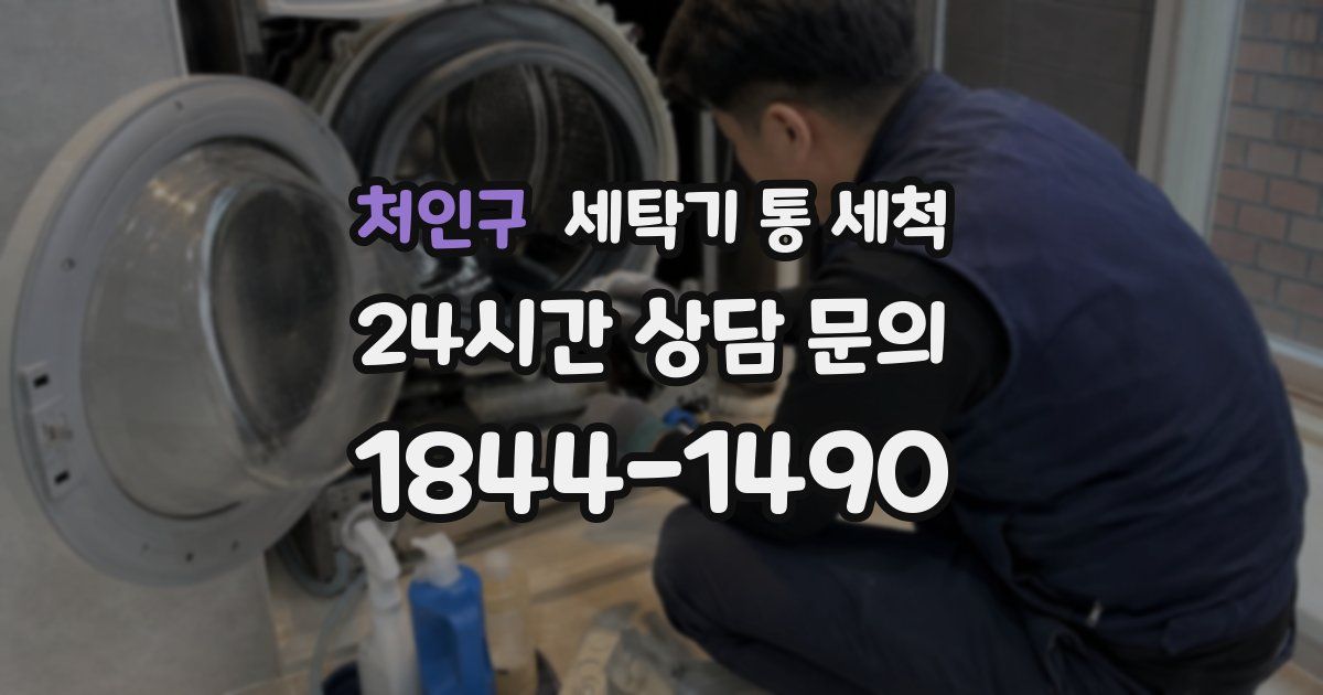 처인구 세탁기 통 세척