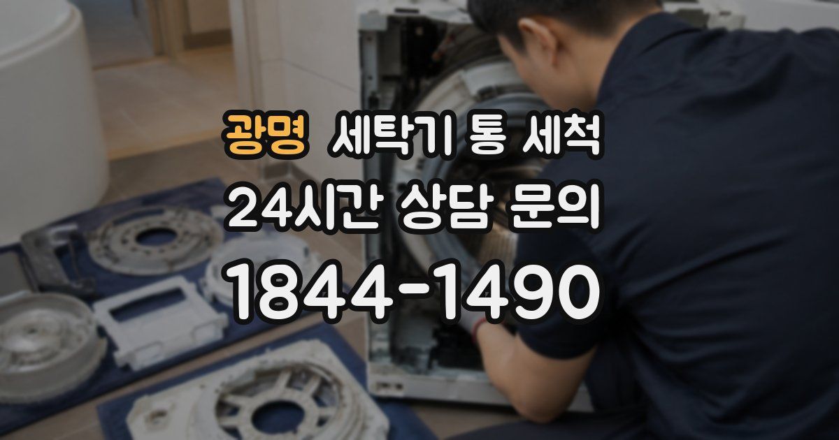 광명 세탁기 통 세척