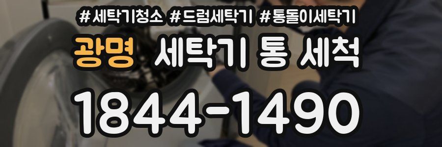 광명 세탁기 통 세척