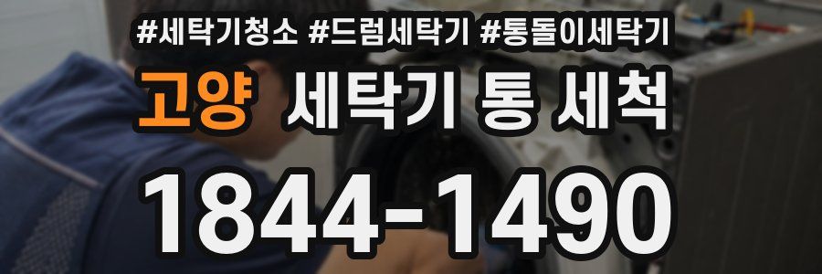 고양 세탁기 통 세척
