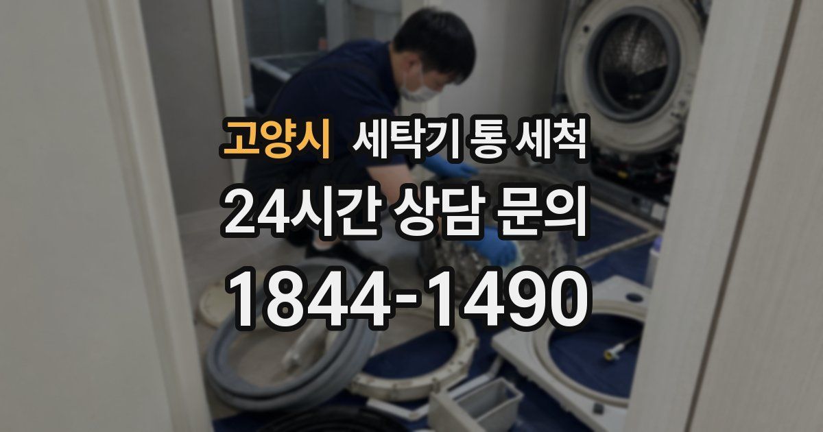 고양시 세탁기 통 세척