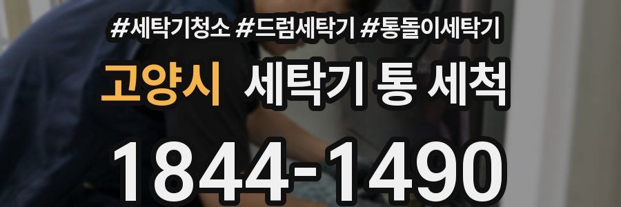 고양시 세탁기 통 세척