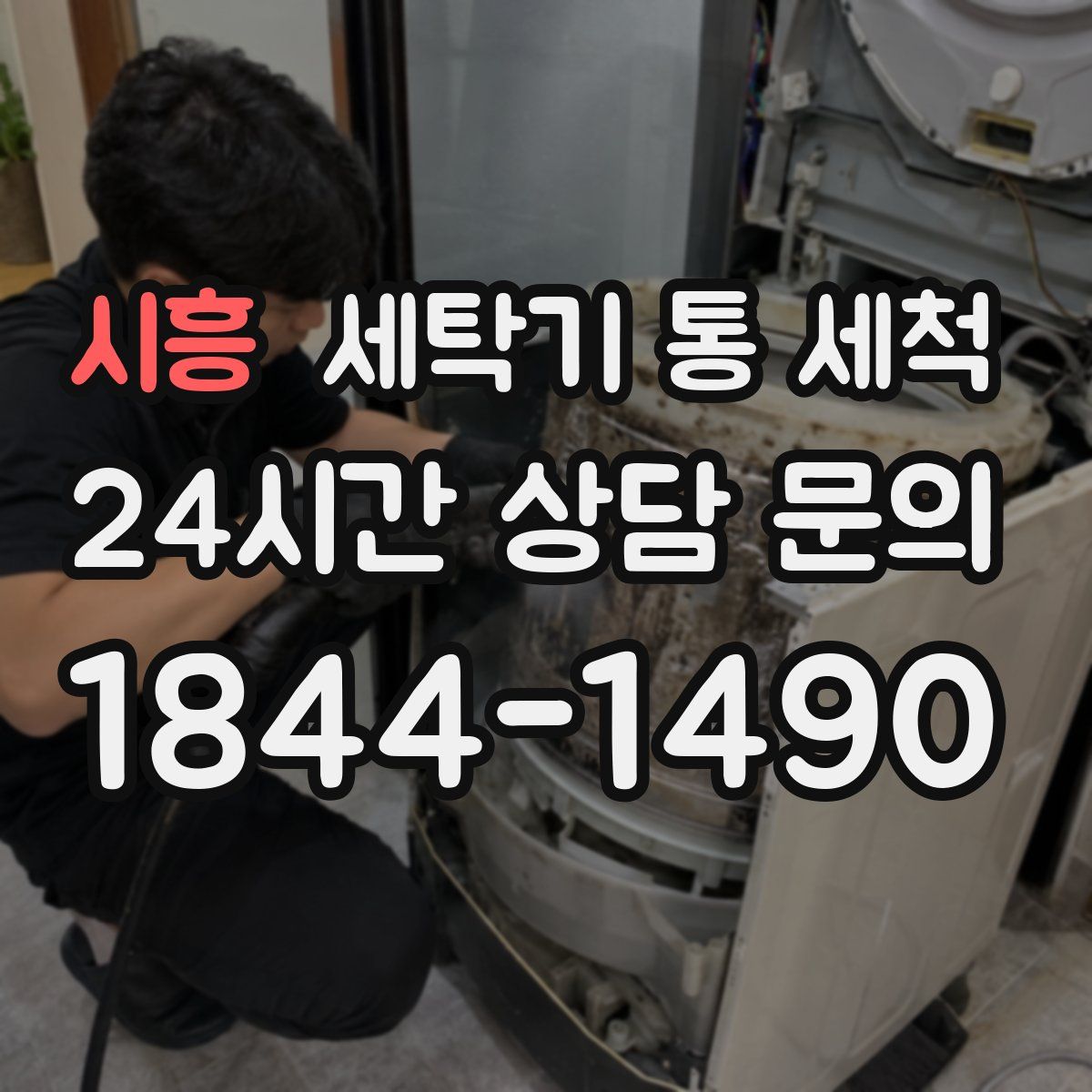 시흥 세탁기 통 세척