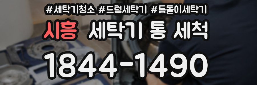 시흥 세탁기 통 세척