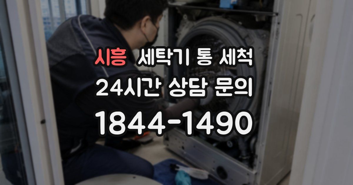 시흥 세탁기 통 세척