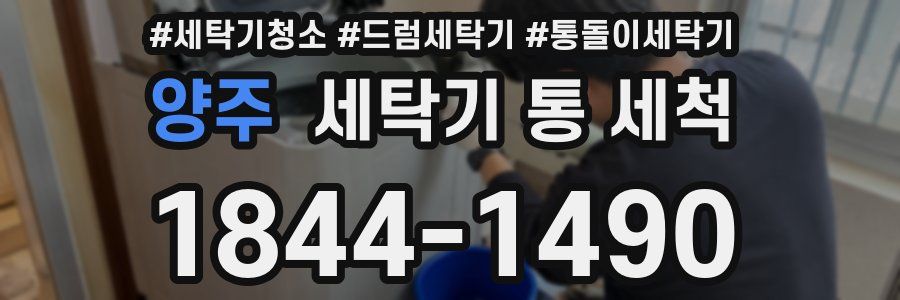 양주 세탁기 통 세척