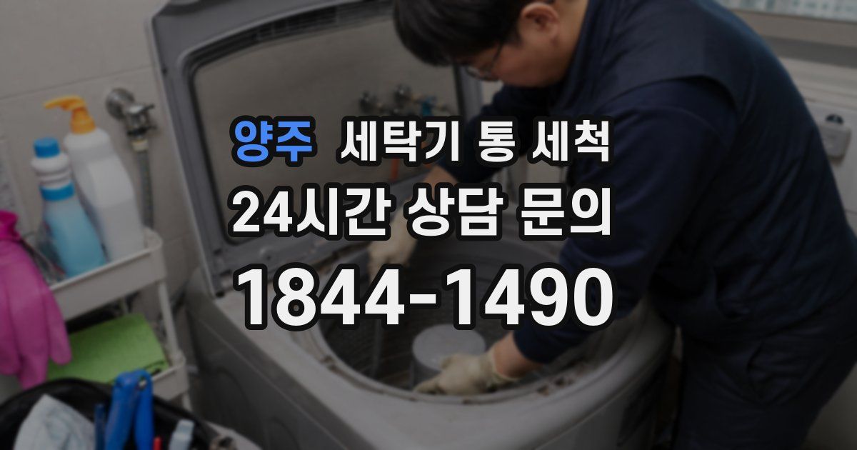 양주 세탁기 통 세척