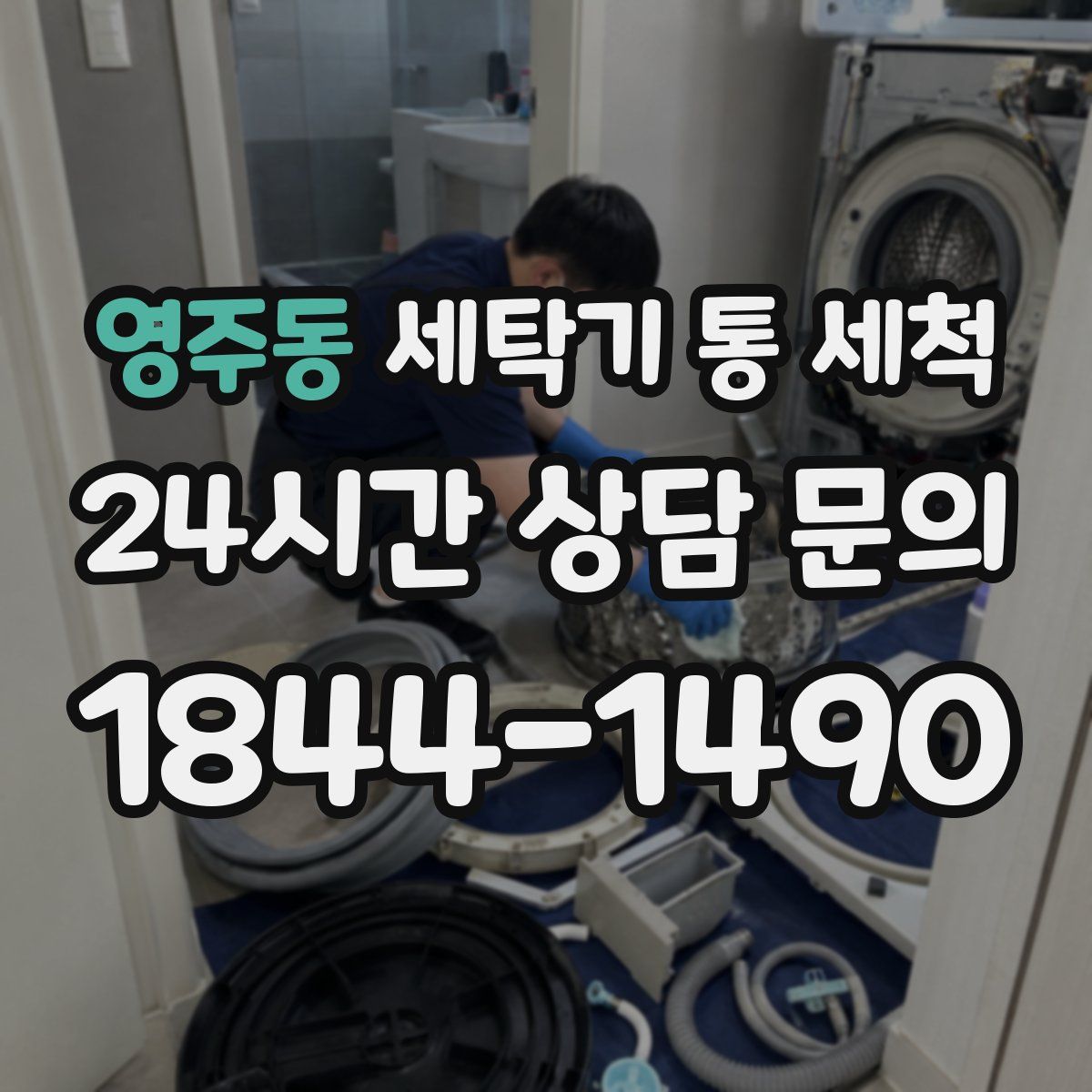 영주동 세탁기 통 세척