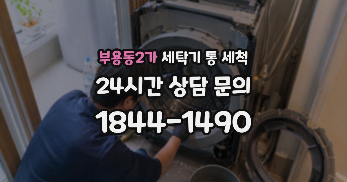 부용동2가 세탁기 통 세척