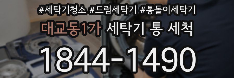 대교동1가 세탁기 통 세척