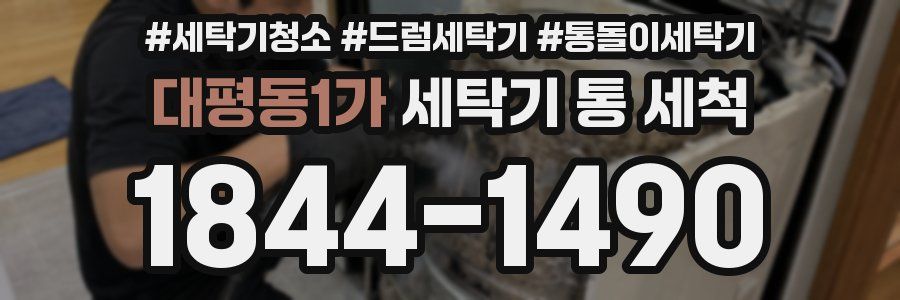 대평동1가 세탁기 통 세척