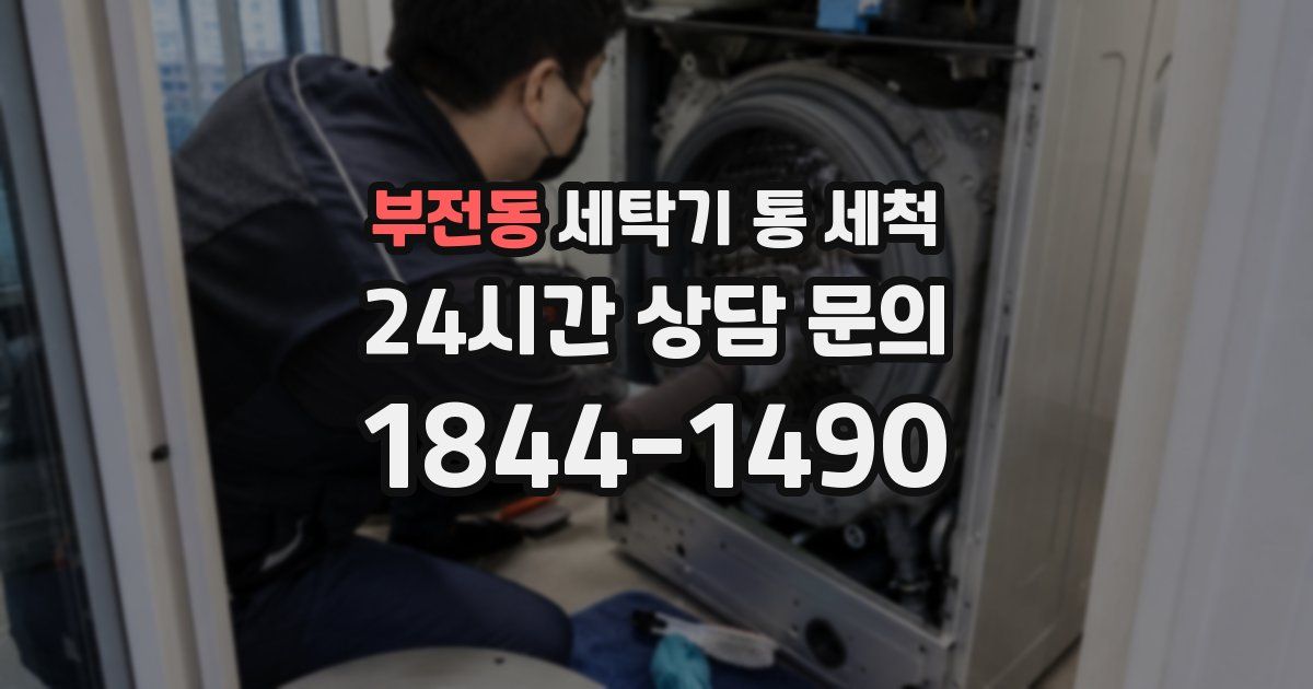 부전동 세탁기 통 세척