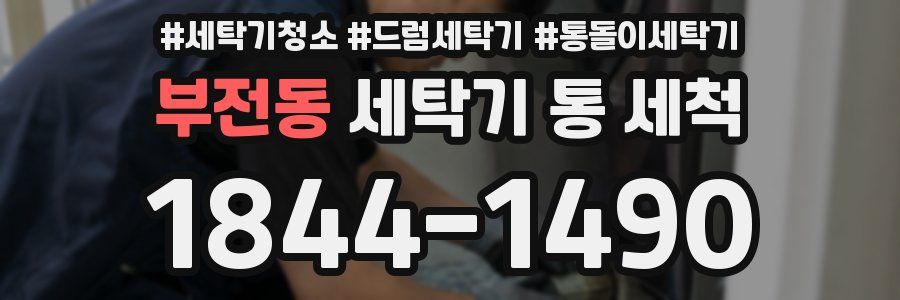 부전동 세탁기 통 세척