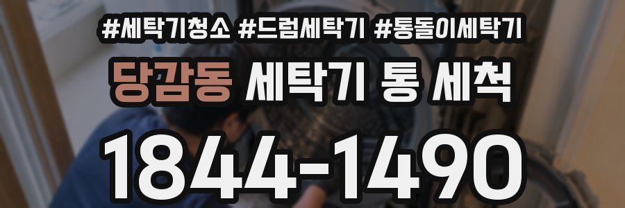 당감동 세탁기 통 세척